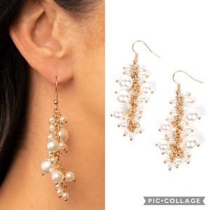 🐾 The Rumors are True✨